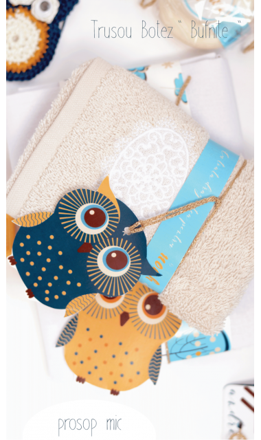Trusou de botez cu broderie personalizata pentru baieti, Owl Baby Boy 6